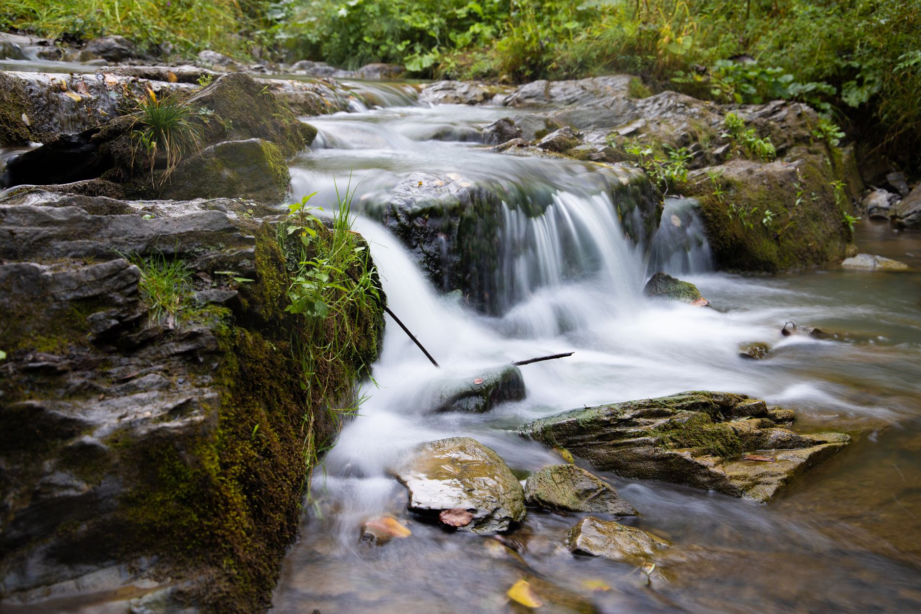 Système de filtration d'eau naturelle
